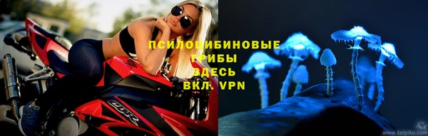 Альфа ПВП Новодвинск