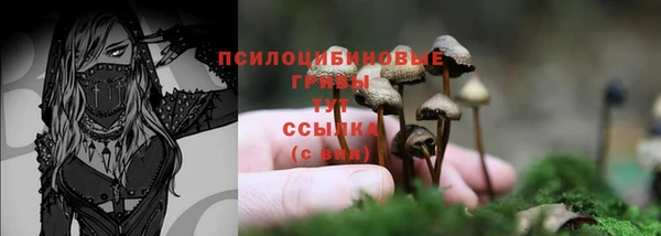 герыч Новозыбков
