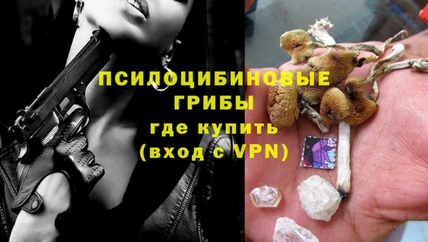 Альфа ПВП Новодвинск