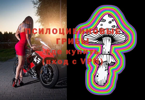 Альфа ПВП Новодвинск